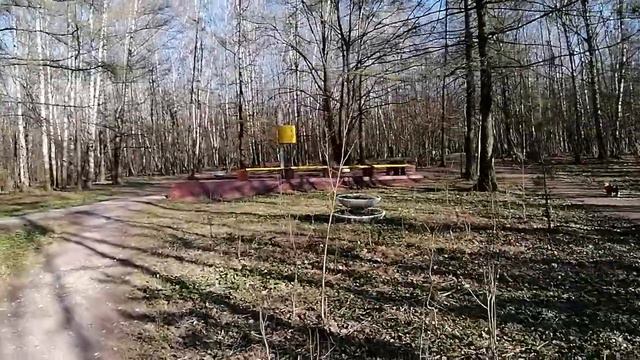 Прогуляю вас виртуально к озеру в парке Тропарево. Как же красиво там на самоизоляции. смотреть онлайн