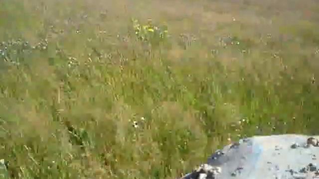 Мтз 80 и КРН 2,1 смотреть онлайн