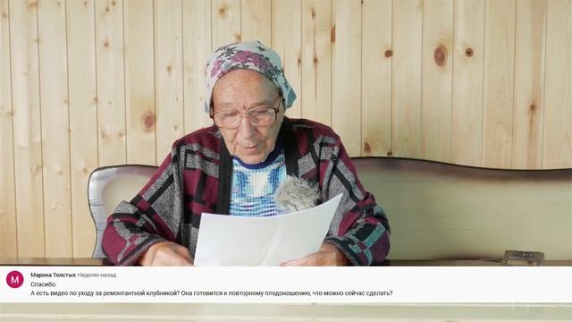 Гниль клубники. Горькая, кислая ягода. Советы по уходу за клубникой. смотреть онлайн