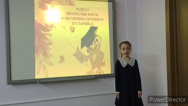 Проект "КРАСКИ ОСЕНИ", Журавлëва Анна смотреть онлайн