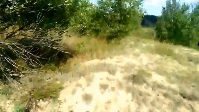 на собачий пляж на муравье смотреть онлайн