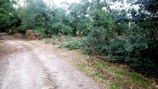 Achetons la nature ! смотреть онлайн