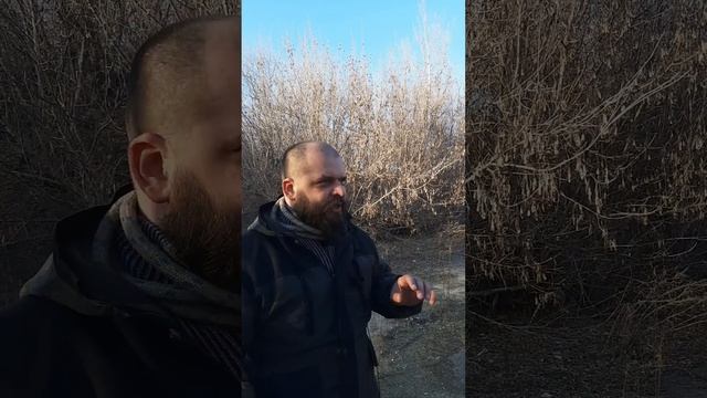 Буксировочный трос - как защита от хищных животных смотреть онлайн