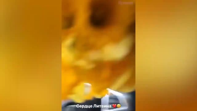 ЛУЧШИЕ ПРАНКИ МИША ЛИТВИН ?? смотреть онлайн