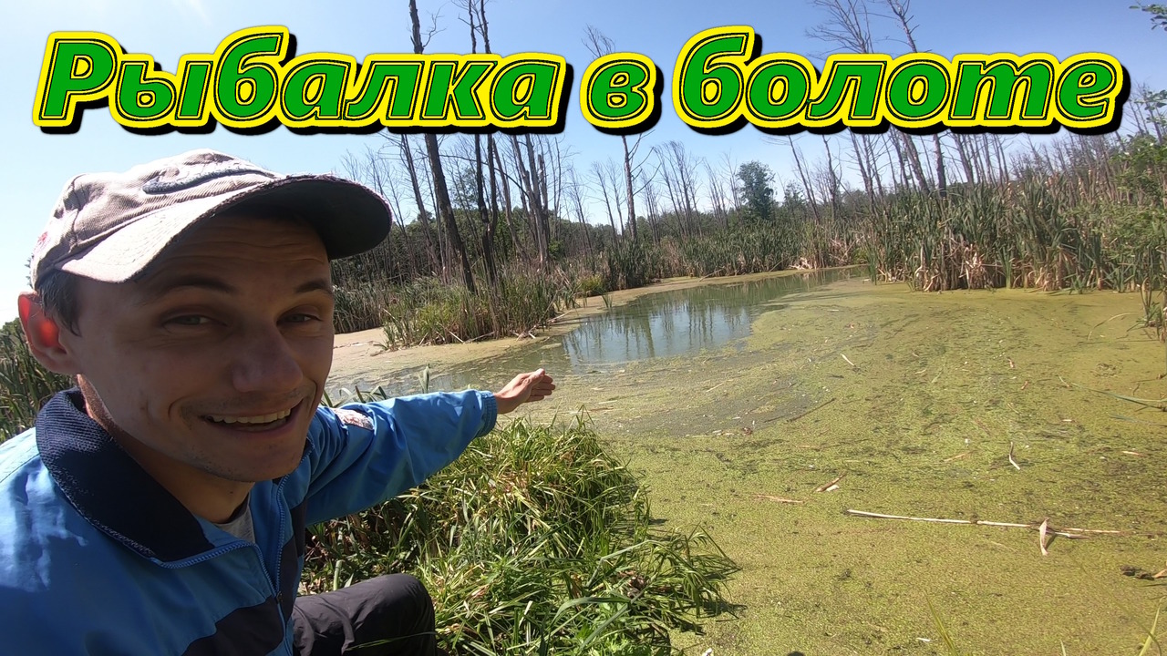БОЛОТО/ЛОВЛЯ КАРАСЯ/РЫБАЛКА НА УДОЧКУ/ЛЕТНЯЯ РЫБАЛКА/РЫБАЛКА В САМАРЕ/КАРАСЬ ЛЕТОМ/ ХОРОШИЙ КАРАСЬ смотреть онлайн
