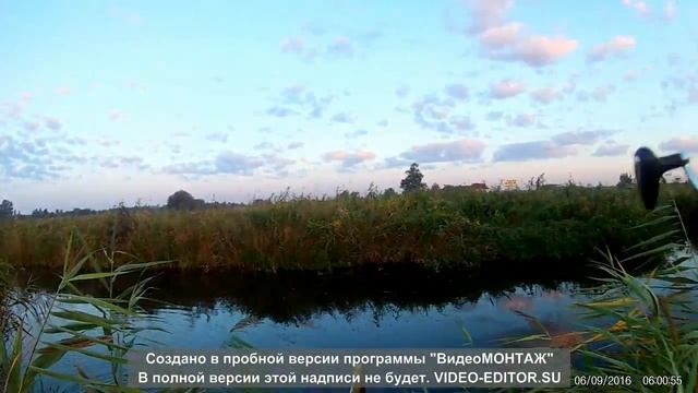 Ловля щуки в заросшем водоеме смотреть онлайн