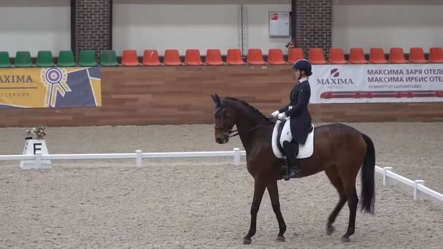 18-20 декабря MAXIMA MASTERS TEAM по выездке смотреть онлайн
