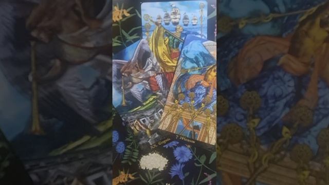 СООБЩЕНИЕ ОТ РОДА смотреть онлайн
