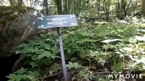 #умань#парксофиевка# г.Умань.Дендропарк "Софиевка". Ч.4.Экскурсия,прогулка.