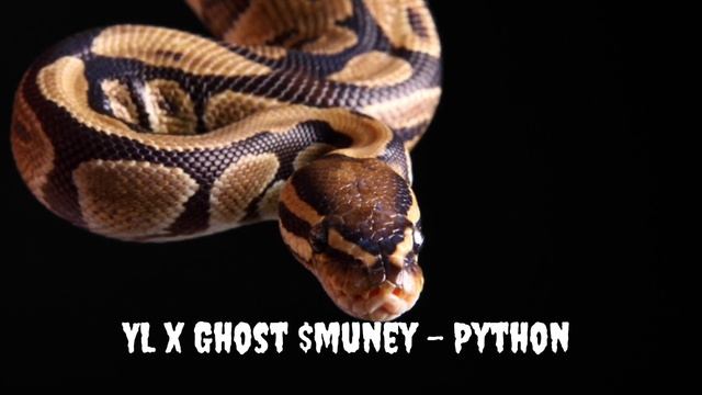 YL x Grim Smuney - Python смотреть онлайн
