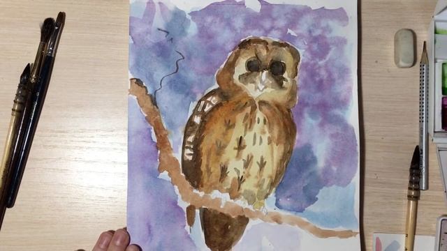 Сова акварелью/ Как нарисовать сову смотреть онлайн
