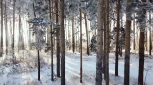 Я ПИЛА С ШЕСТИ ЛЕТ  И РОДИЛА ПЯТЕРЫХ ДЕТЕЙ  ? ? ?.А УМА КАК НЕ БЫЛО ТАК И НЕТ  ? ? ? ИГОРЬ МЁДОВ