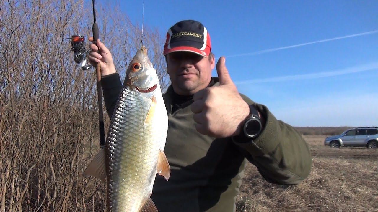 Ловля плотвички и ельца на Кудьме. Открытие сезона. смотреть онлайн