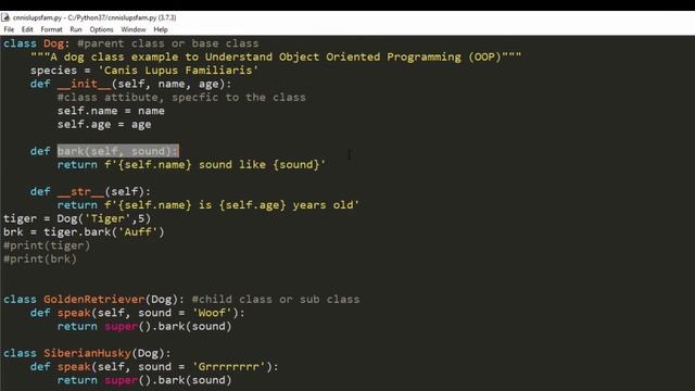Beginner Python Object Oriented Programming Dog Class Part 3 смотреть онлайн