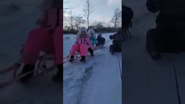Катание на санях. смотреть онлайн
