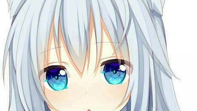 кто такие двачеры???почему они не должны жить?? смотреть онлайн