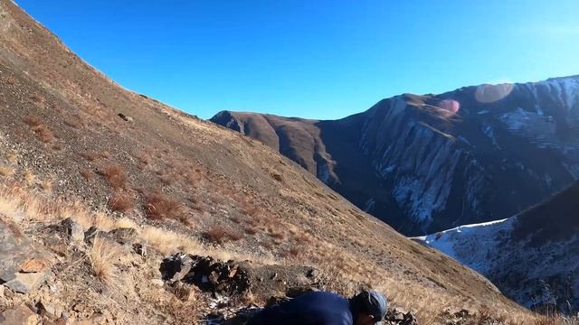 Охота в Дагестане на тура!!!