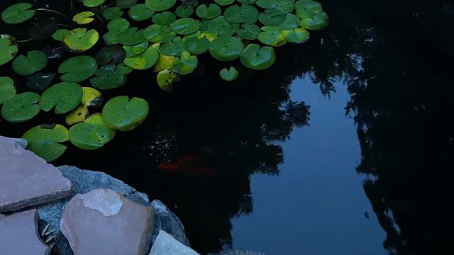 YouTube audio for beginners смотреть онлайн