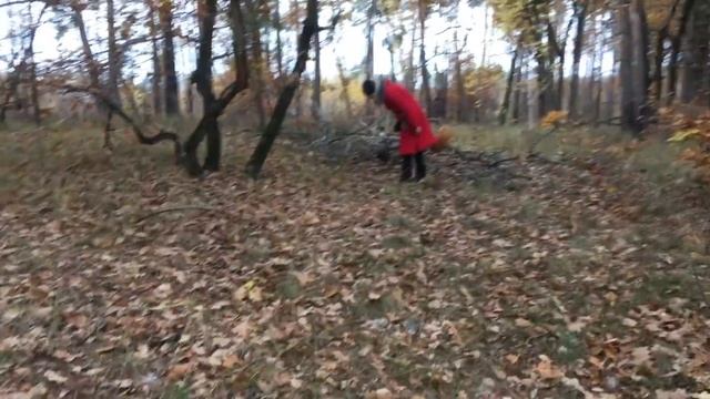 Поздние грибы смотреть онлайн