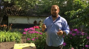 Как избавиться от слепуха/слепыша на своем дачном участке? Проверенный лично метод ловли на крючки