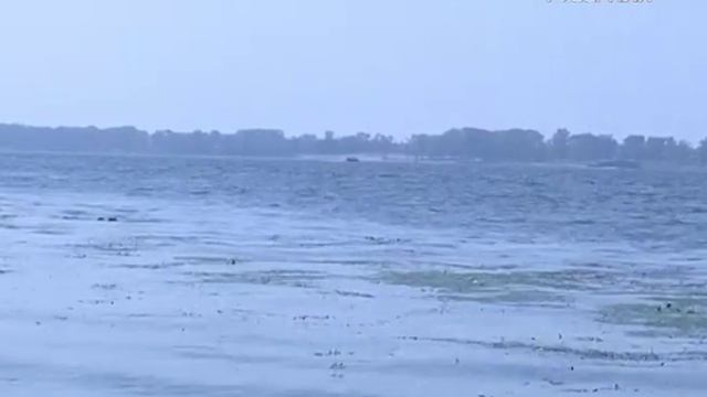 Время инноваций 25.01.2016