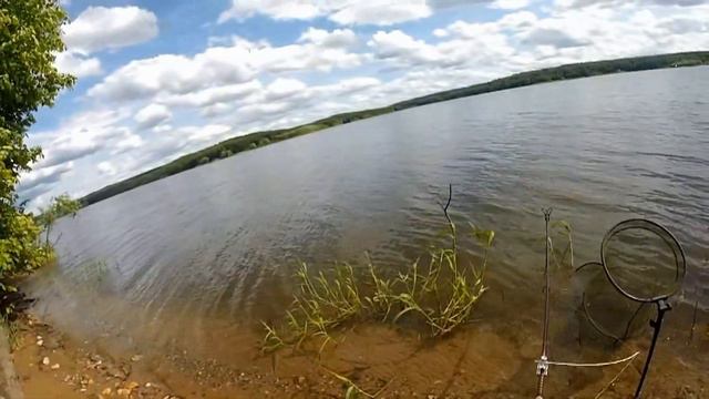 Artuda. Сигнализатор поклевки DSS смотреть онлайн