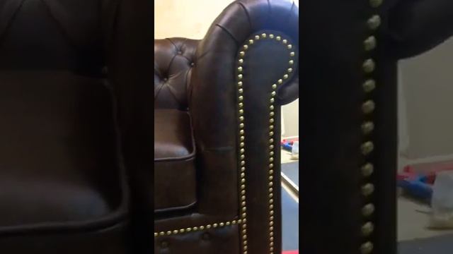 Диваны Честер Tabaco Old, от компании HoReCa-Art смотреть онлайн