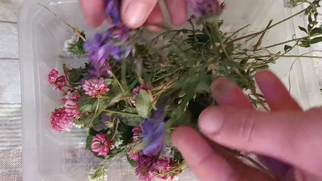 Сушим цветы в обычной манке смотреть онлайн