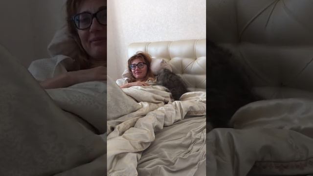 Енот дома! Готовьтесь он не сдаётся смотреть онлайн