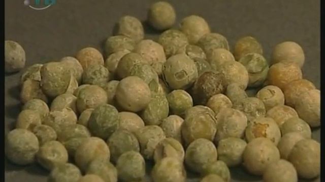 Общая биология. Независимое наследование смотреть онлайн