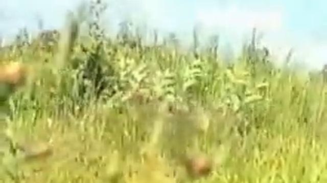 система Кадочникова смотреть онлайн