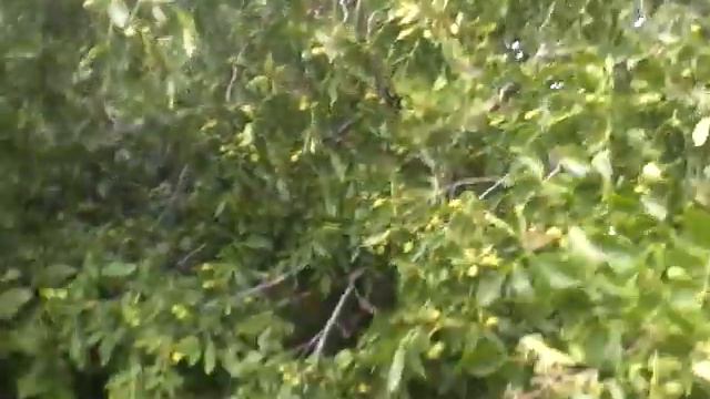 Утро добрым не бывает! смотреть онлайн
