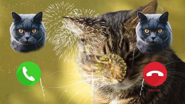 Top Samsung Galaxy Ringtones ? phone ringtone cat pshik ai galaxy смотреть онлайн