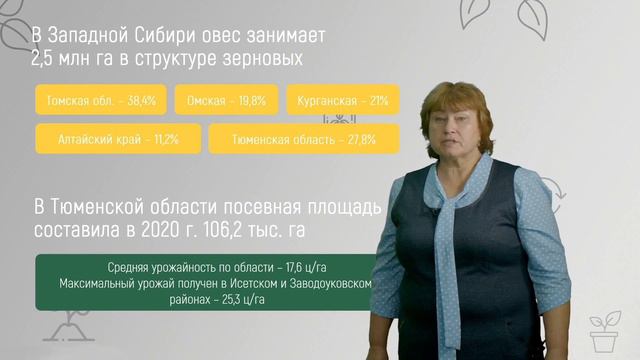 4 3 Овёс смотреть онлайн
