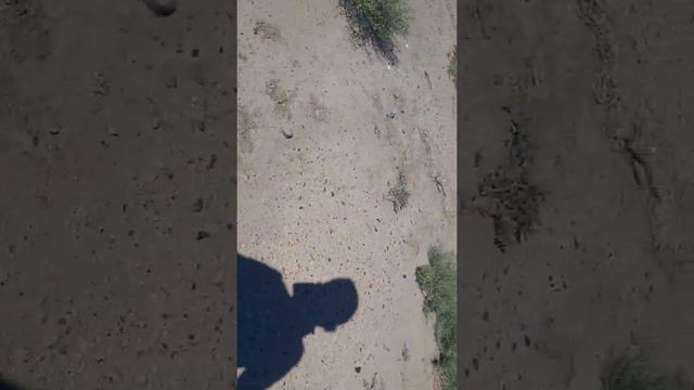 НЕ ОБРАЩАЙТЕ ВНИМАНИЕ НА СЛОВА смотреть онлайн