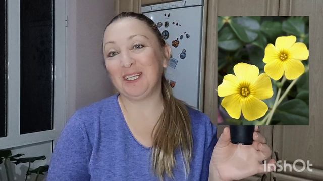 Новинки удачные и нет 🤷♀️ смотреть онлайн