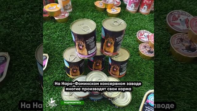 «ЗооДом»: Торговый дом «Нара» смотреть онлайн