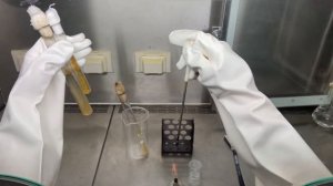 Техника посева микроорганизмов на косой агар с пробирки на пробирку