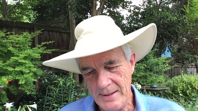 Tales from the Garden, Joe Pye Weed (Eupatorium/Eutrochium) смотреть онлайн