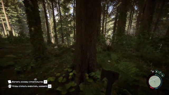 Стоит ли играть в Sons of the Forest? смотреть онлайн