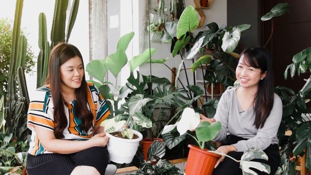Asya Talks Podcast EP #5 Tips & Trik Berkebun Mudah di Rumah смотреть онлайн