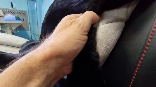 Меховая накидка на сиденья автомобиля смотреть онлайн