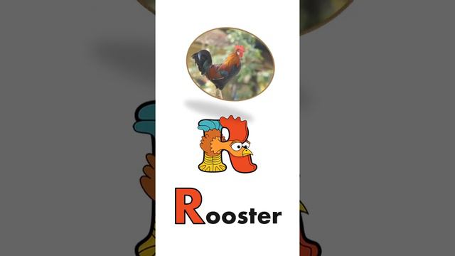 R - R For Raccoon,Rhinoceros,Rat,Rooster,Reindeer,Ram,Raven : English Alphabet For Kids смотреть онлайн