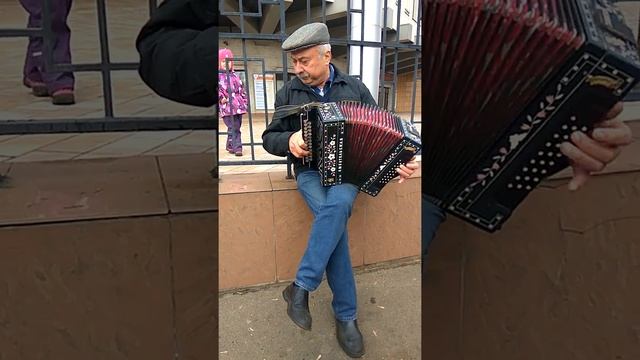 Наигрыши на гармони(1) смотреть онлайн