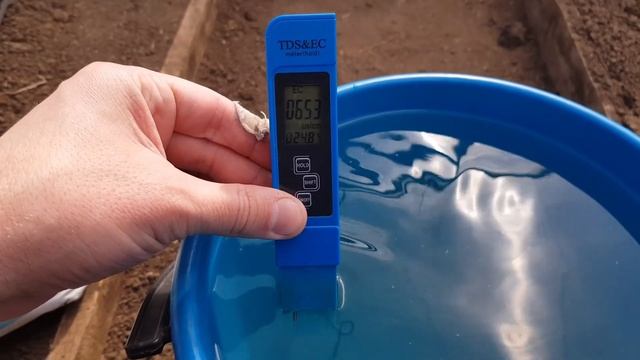 Первая фосфорная подкормка рассады томатов смотреть онлайн