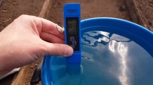 Первая фосфорная подкормка рассады томатов