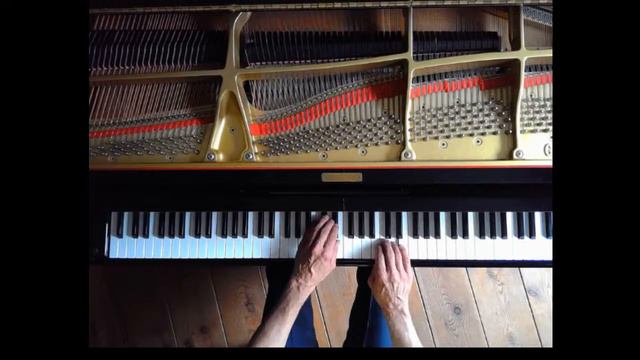 Johann Gottlieb Goldberg, Polonaise Nr 2, Gespielt Von Wolfgang Clausnitzer