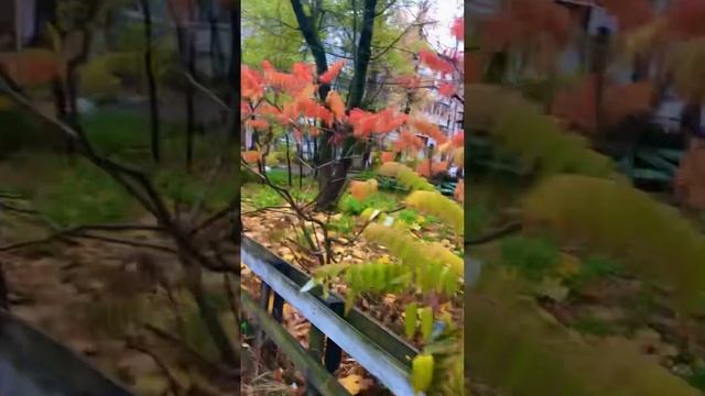 Спасибо вам, люди, за труд ваш, за дружбу со мной!!! #lenaleto #elenazhelankina #брянск #msk #spb смотреть онлайн