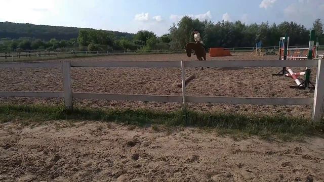 Конный спорт "контроль" смотреть онлайн