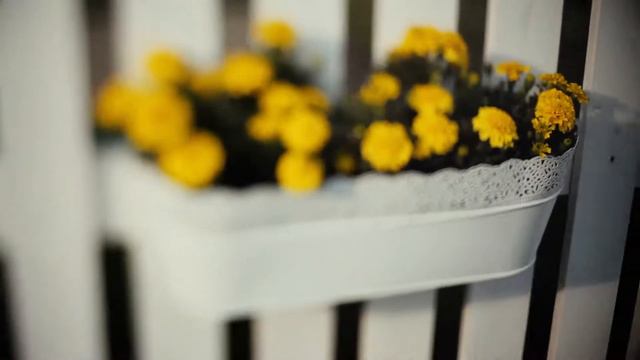 День рождения Любочки! 2 годика смотреть онлайн